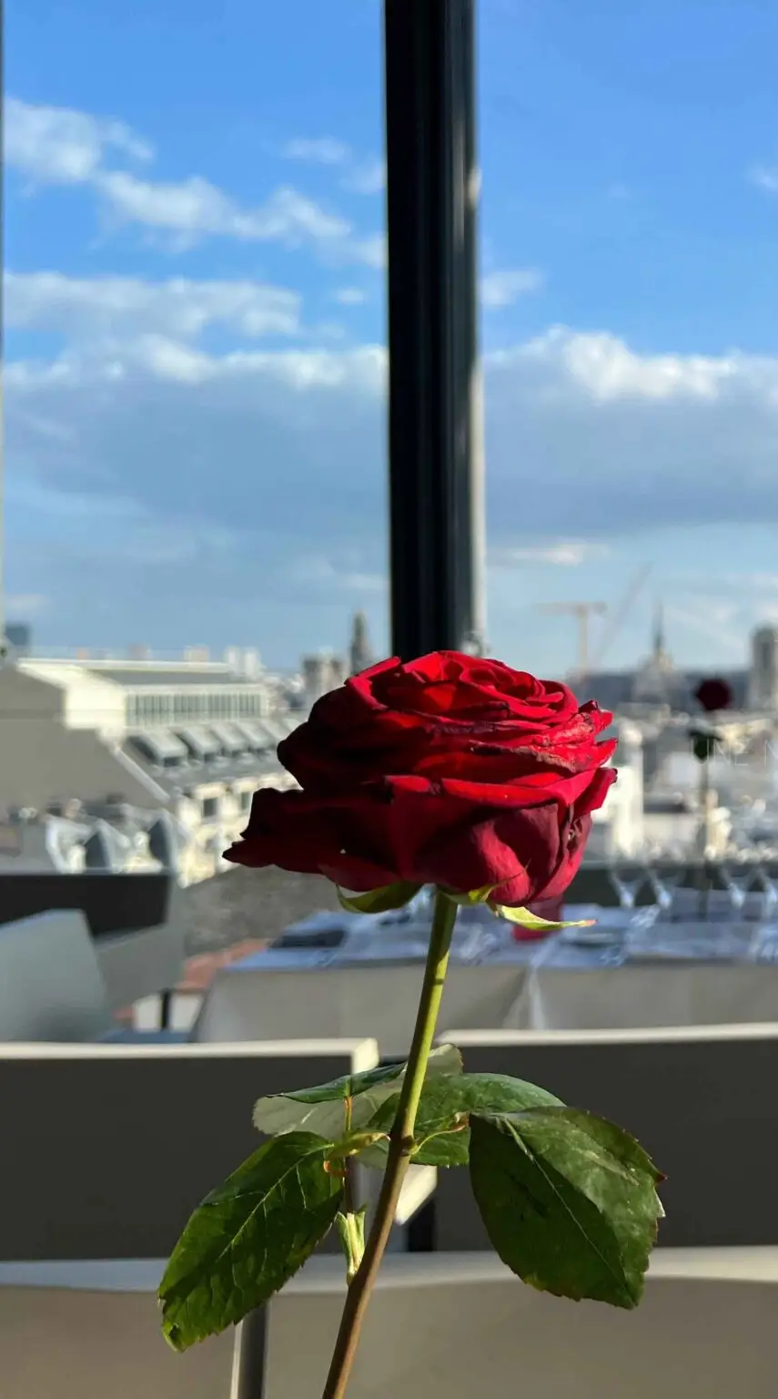 une rose rouge dans un vase devant une fenêtre avec vue sur les toits de paris