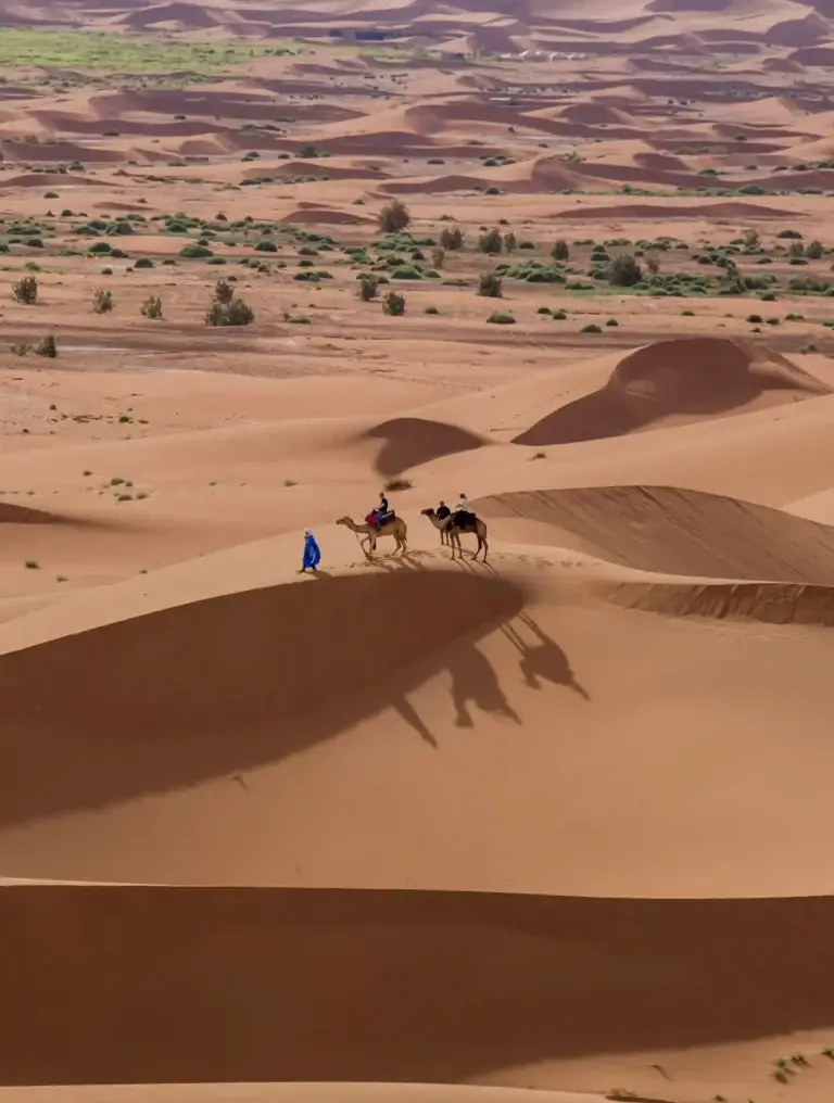 UMDH-Seminaire-desert