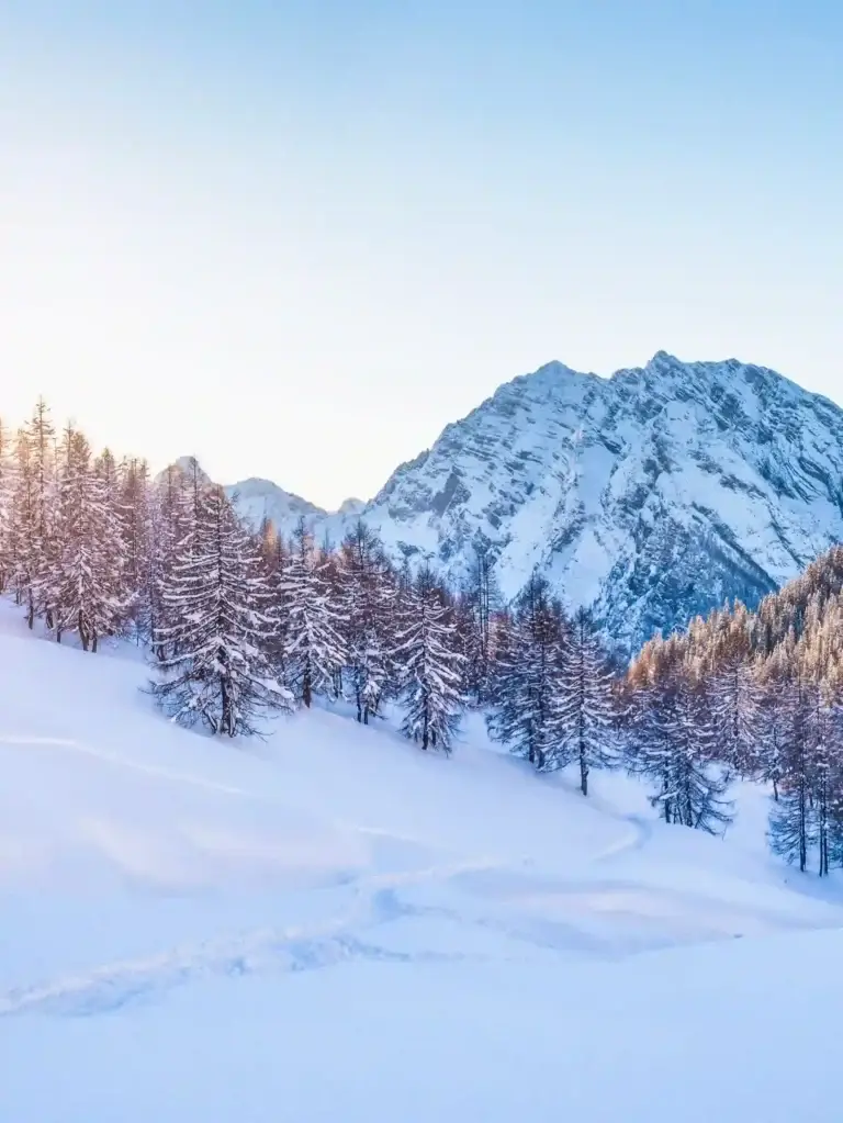 UMDH-Seminaire-montagne