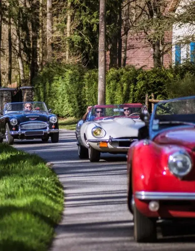 UMDH-Team Building automobile 2