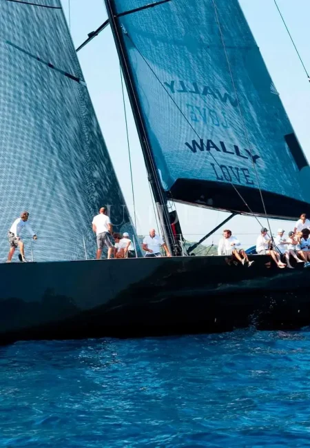 Des collaborateurs constituent un équipage à bord d'un voilier sur une mer bleue