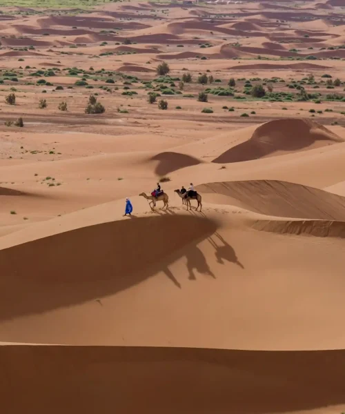 UMDH-Seminaire-desert